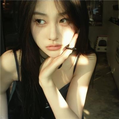 哈兰·科本的庇护所